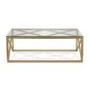 Buy 🌟 Dixon 46 in. Brass Large Rectangle Glass Coffee Table by Meyer&Cross 🧨 1 Buy 🌟 Dixon 46 in. Brass Large Rectangle Glass Coffee Table by Meyer&Cross 🧨 -Outlet Camden Isle Store brass meyer cross coffee tables ct0059 64 1000